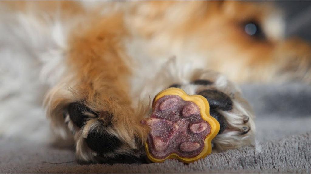 Specialty Treats For Your Pup's Health