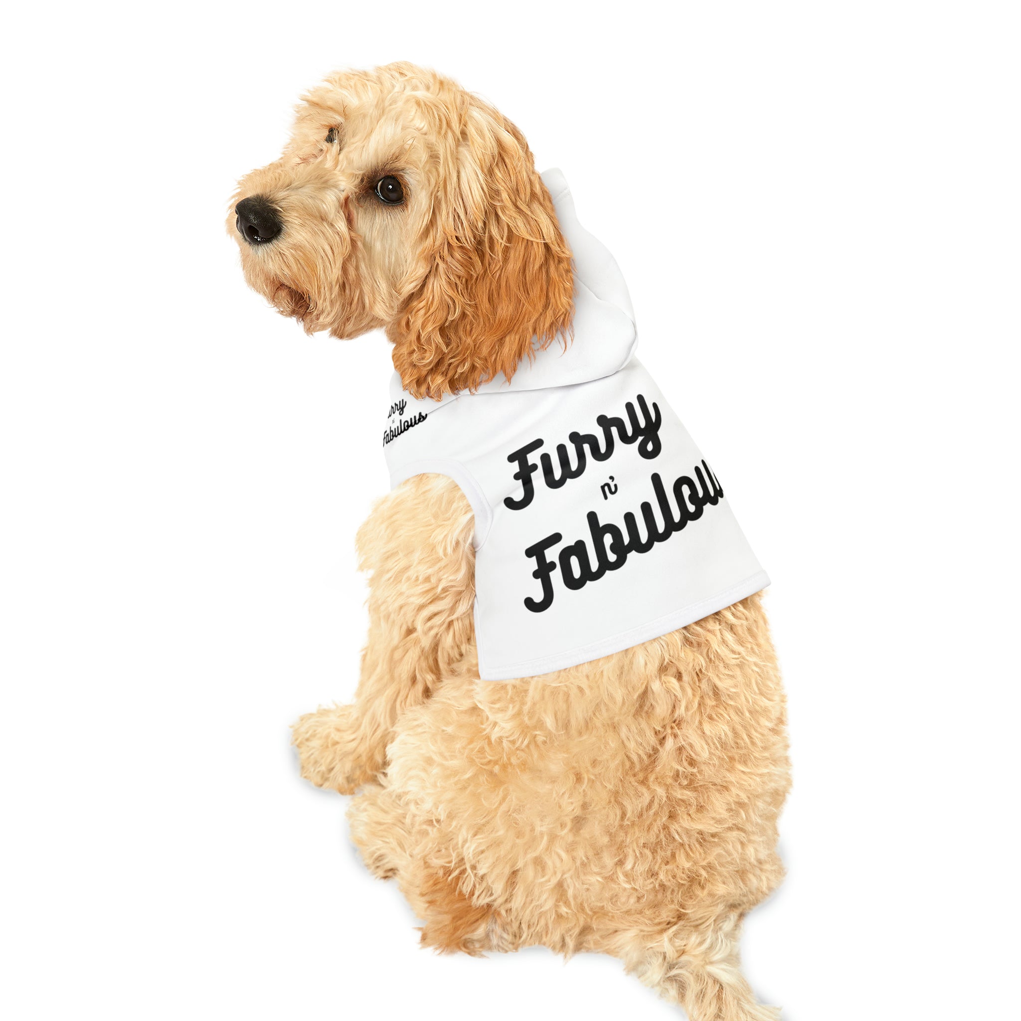 Pet Hoodie