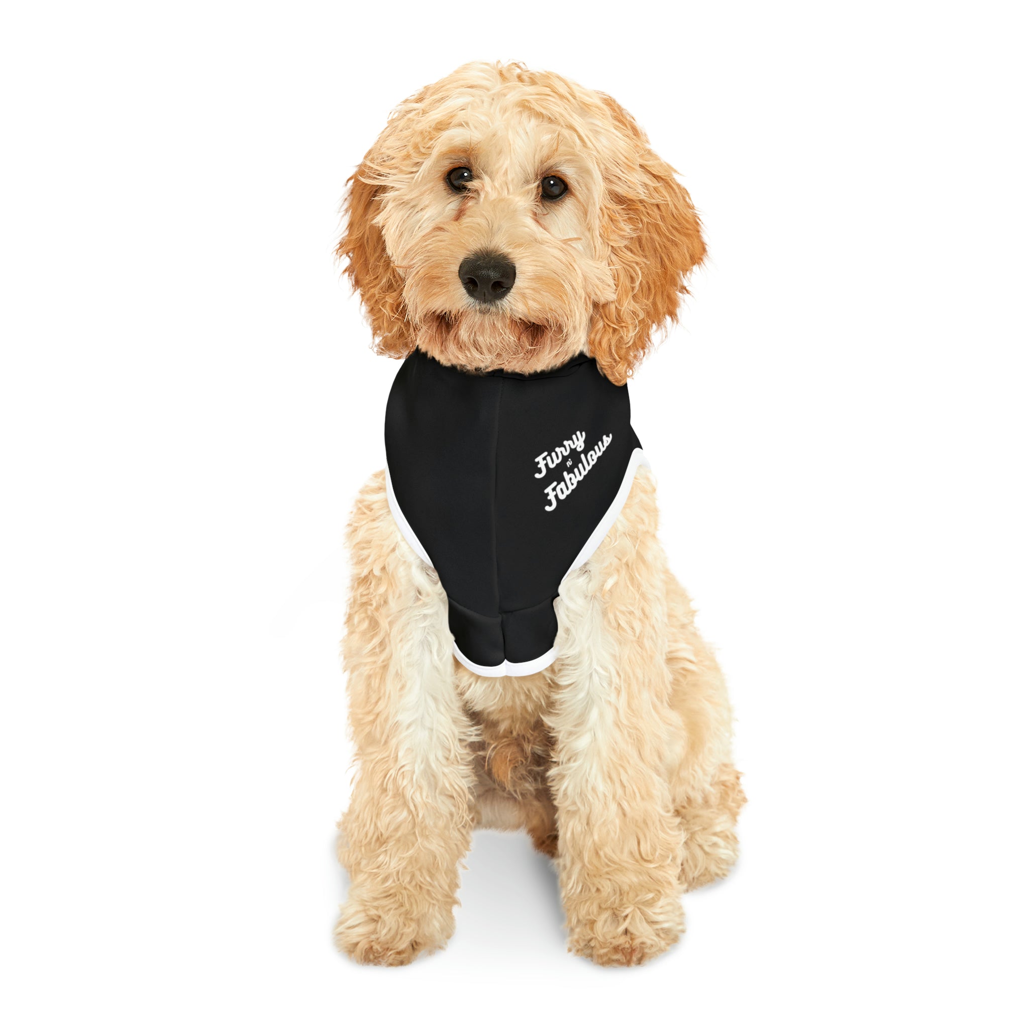 Pet Hoodie