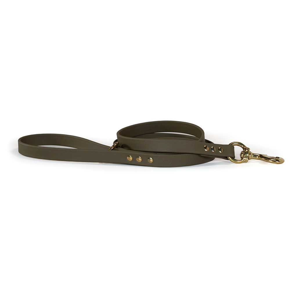 Upland & Downstream Owasco Biothane Leash