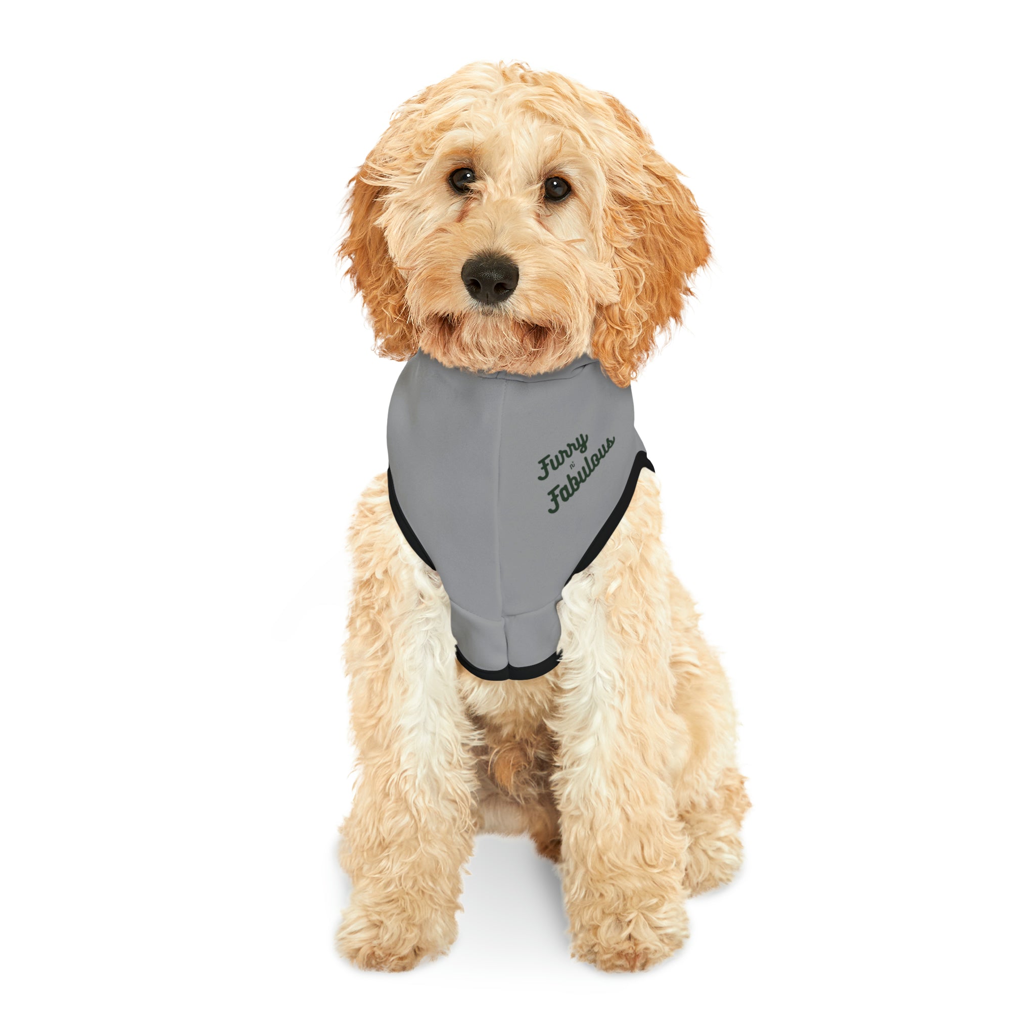 Pet Hoodie