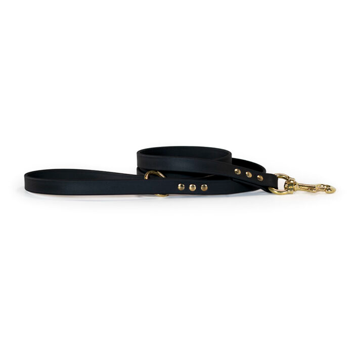 Upland & Downstream Owasco Biothane Leash