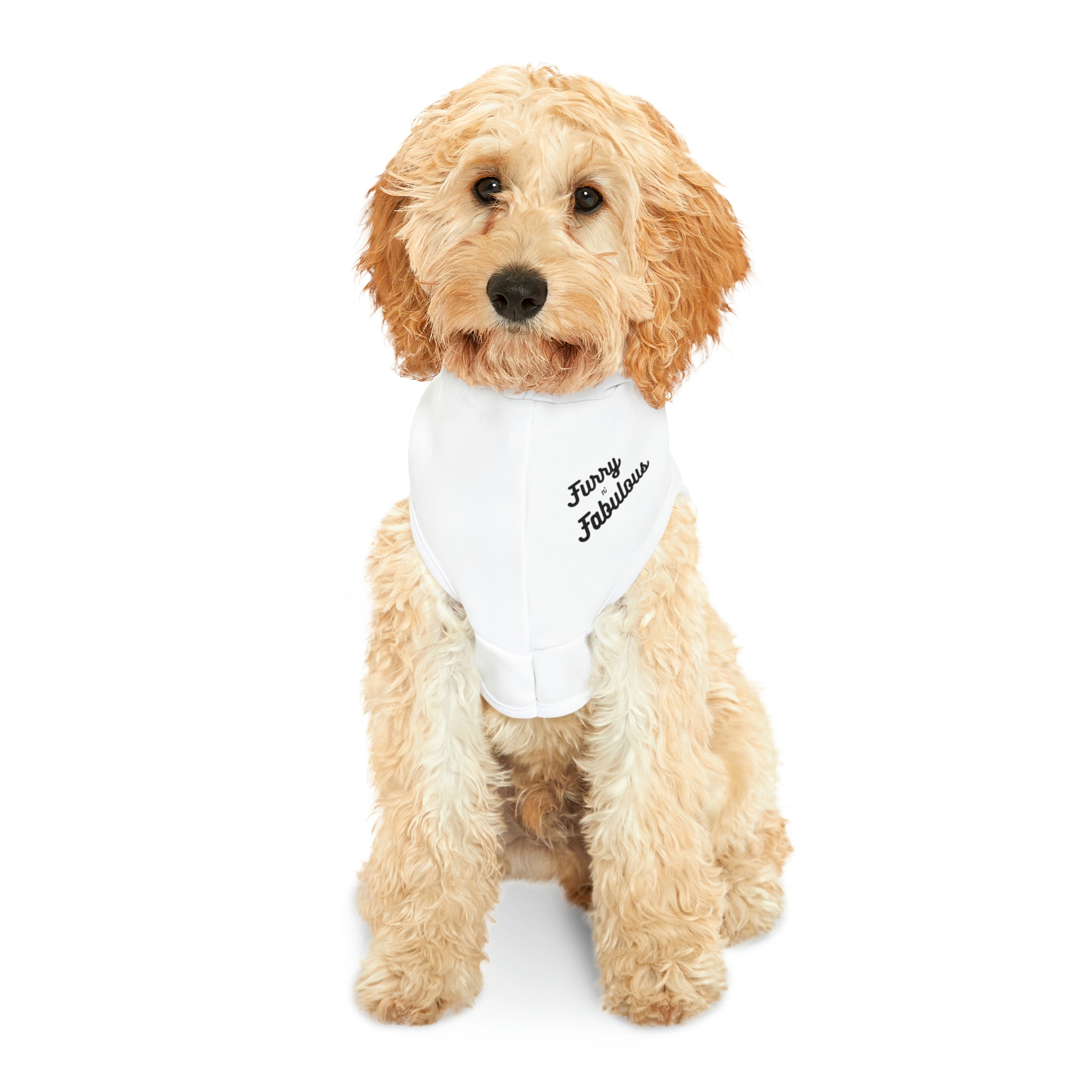 Pet Hoodie