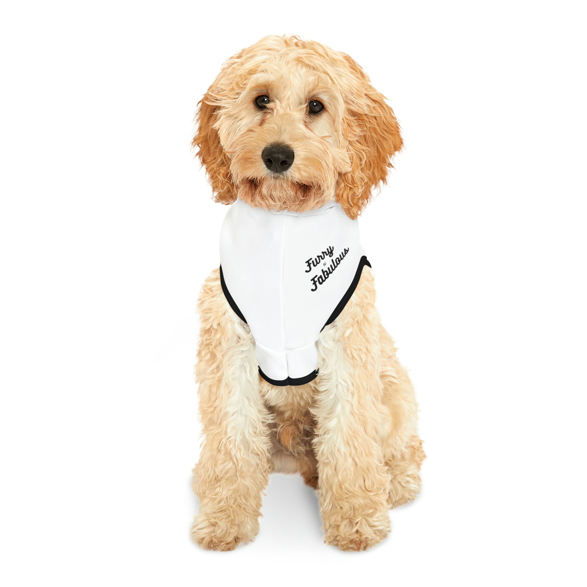 Pet Hoodie