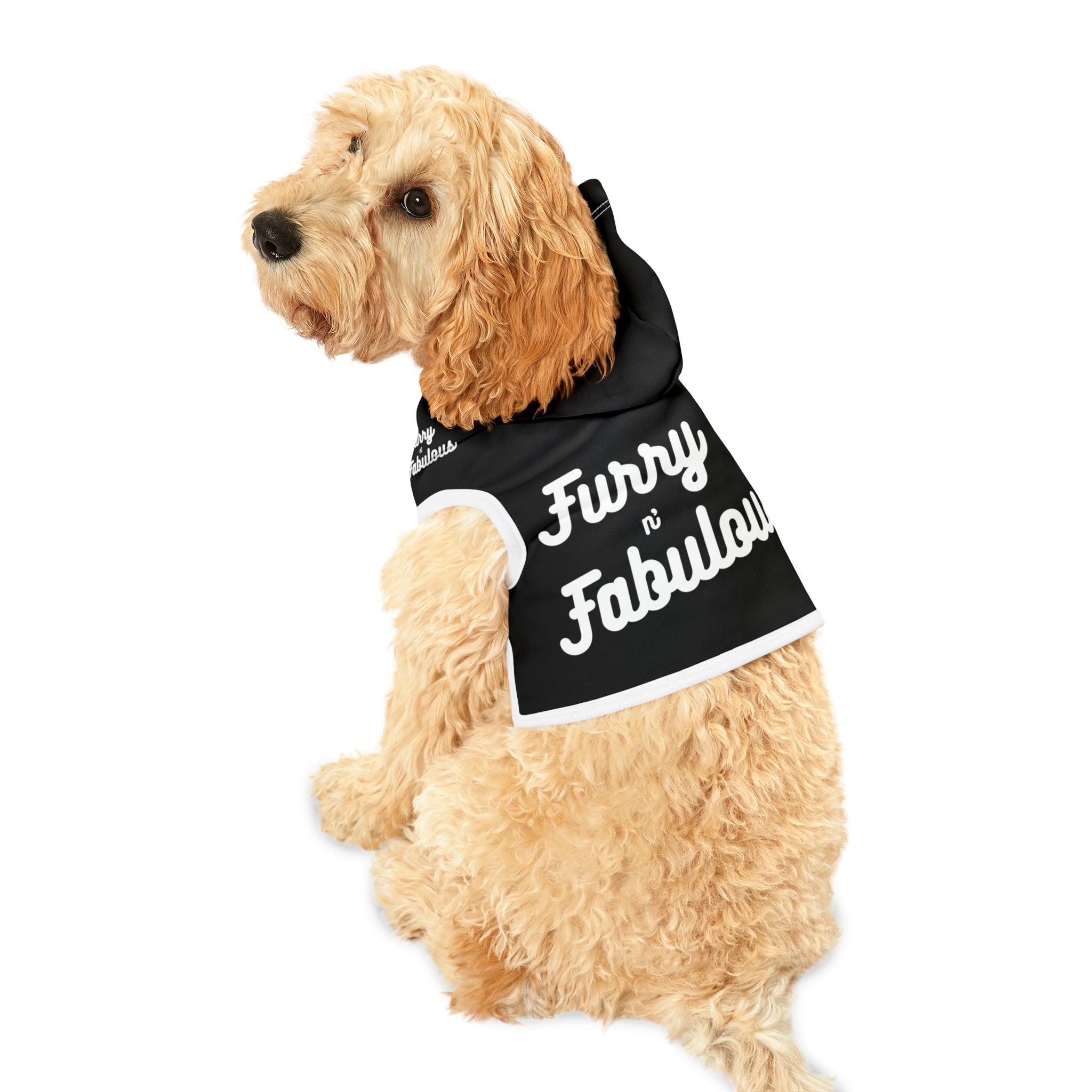 Pet Hoodie