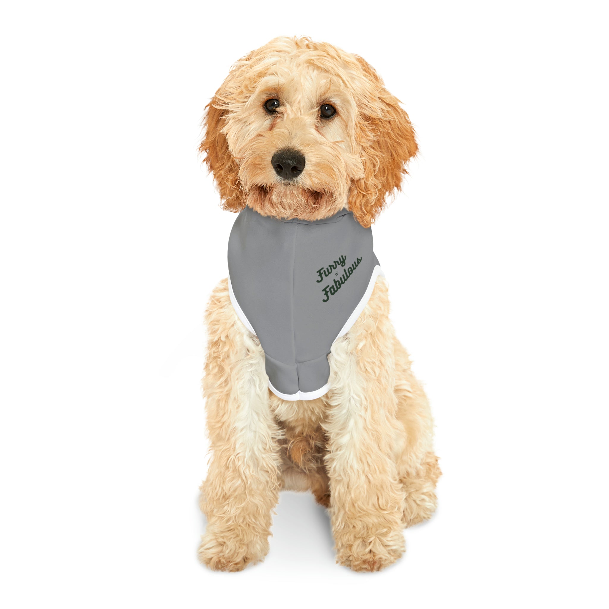 Pet Hoodie