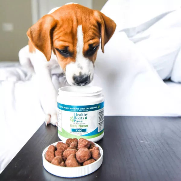 CBD Pet Calming Chews Num Nums 300mg