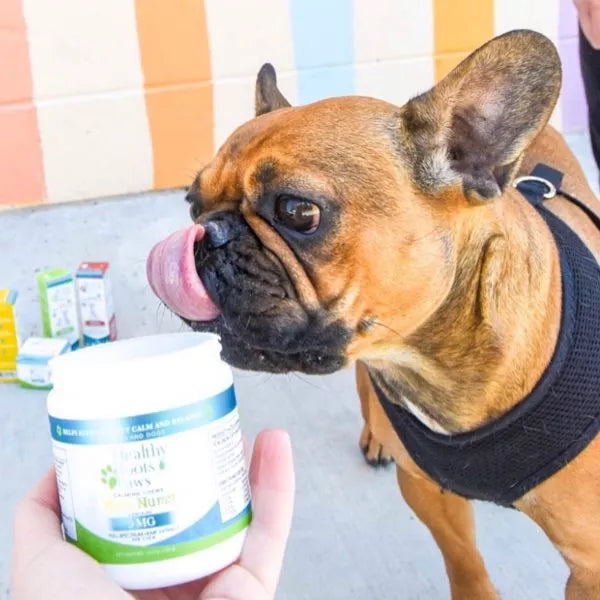 CBD Pet Calming Chews Num Nums 300mg