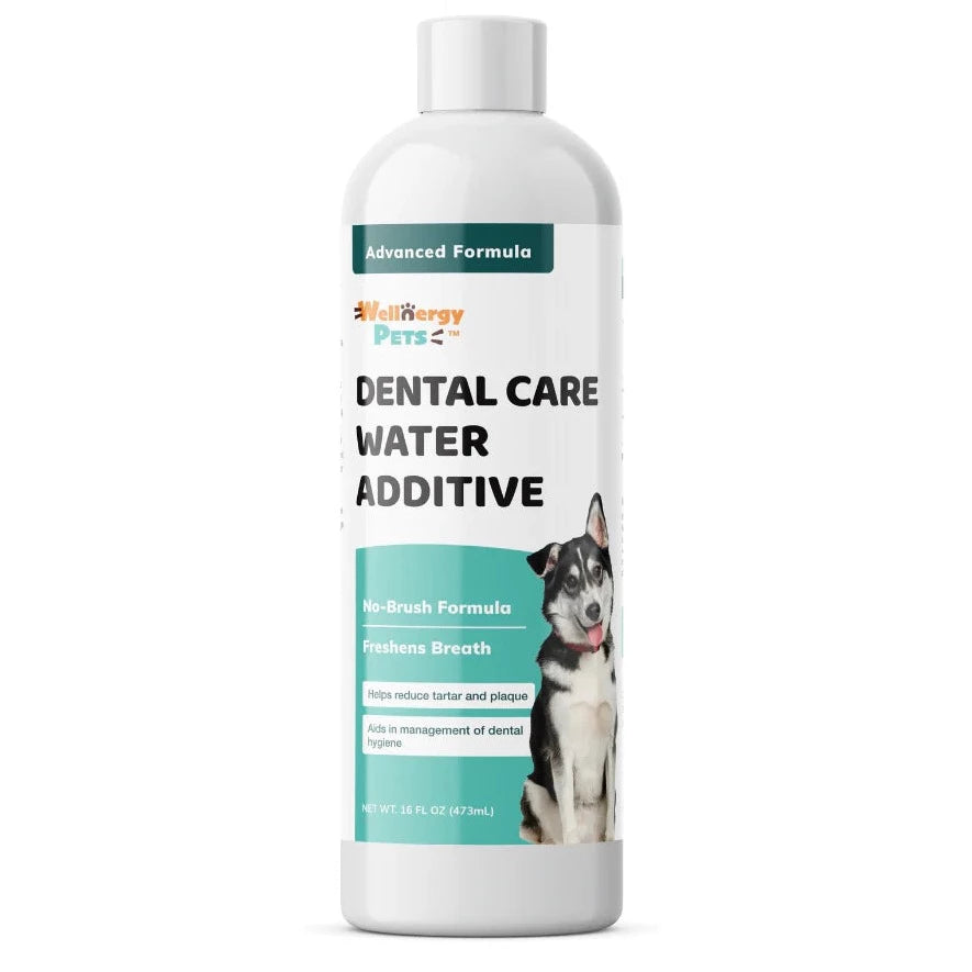 DENTAL CARE WATER ADDITIVE dental water additive for dogs and cats