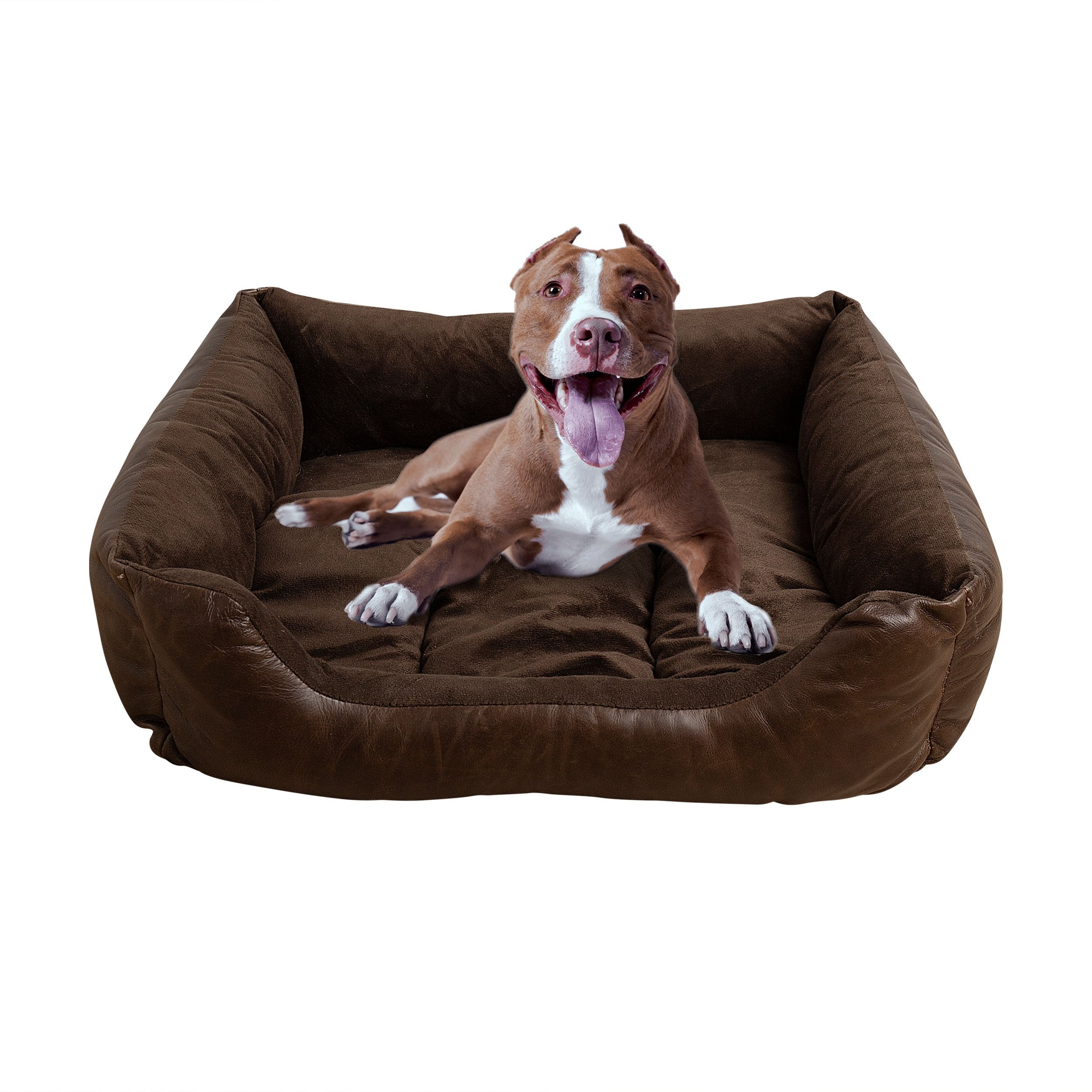 Dog Beds