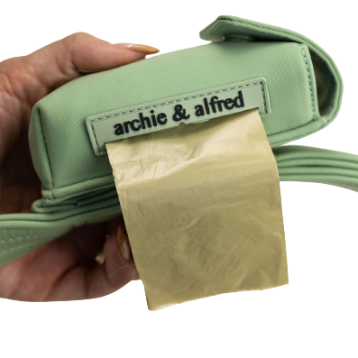 Everyday Dog Leash with Attached Poop Bag Holder