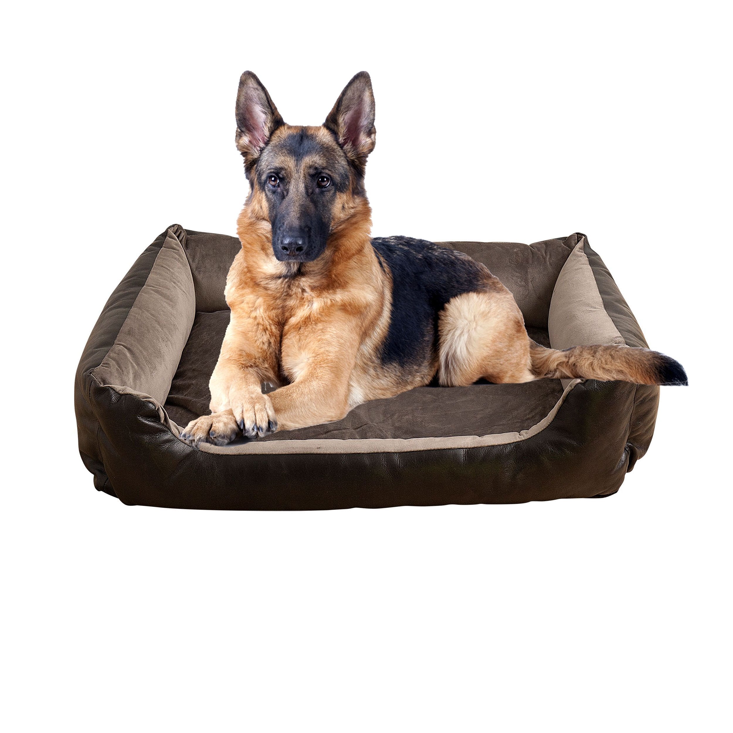 Dog Beds