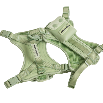 Everyday Dog Harness