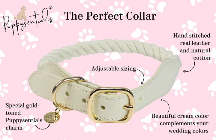 Rope Collar | Creamy White