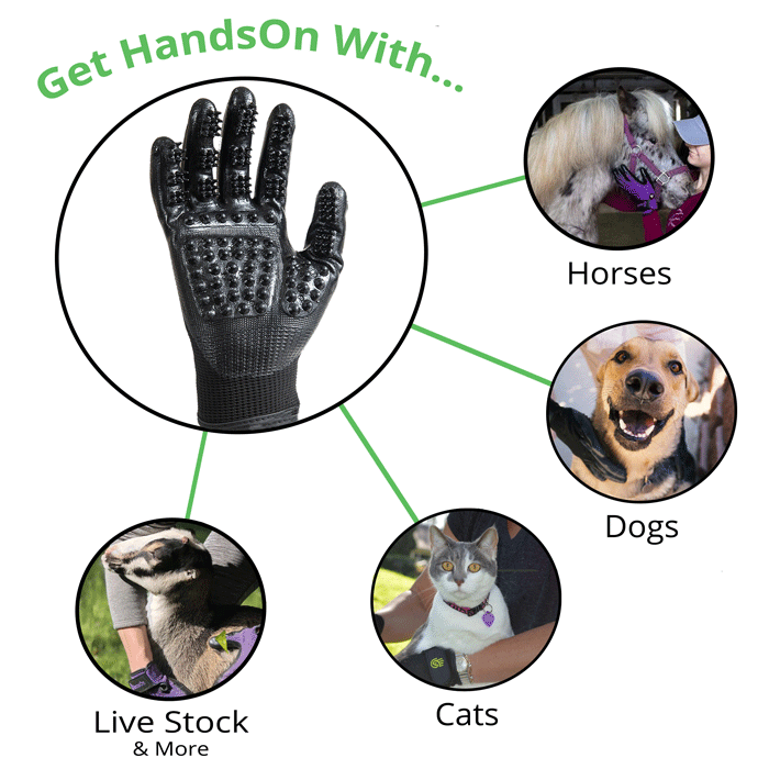 HandsOn Animal Gloves