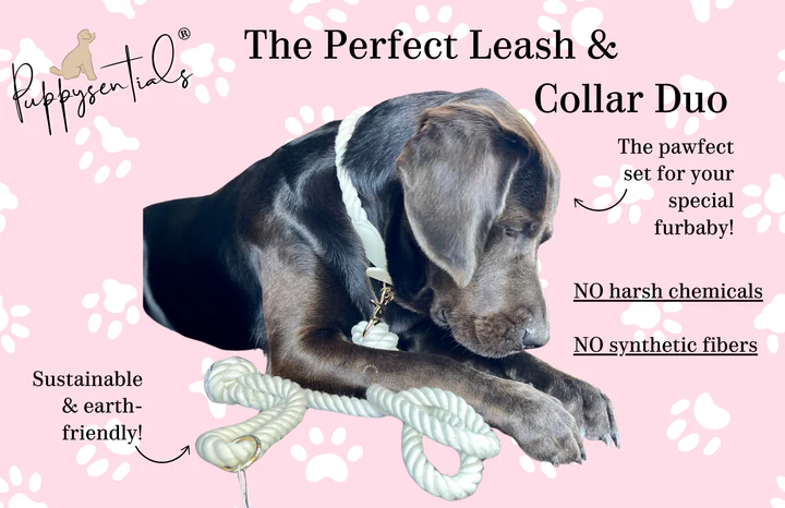 Rope Collar | Creamy White