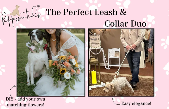 Rope Collar | Creamy White