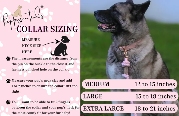 Rope Collar | Creamy White