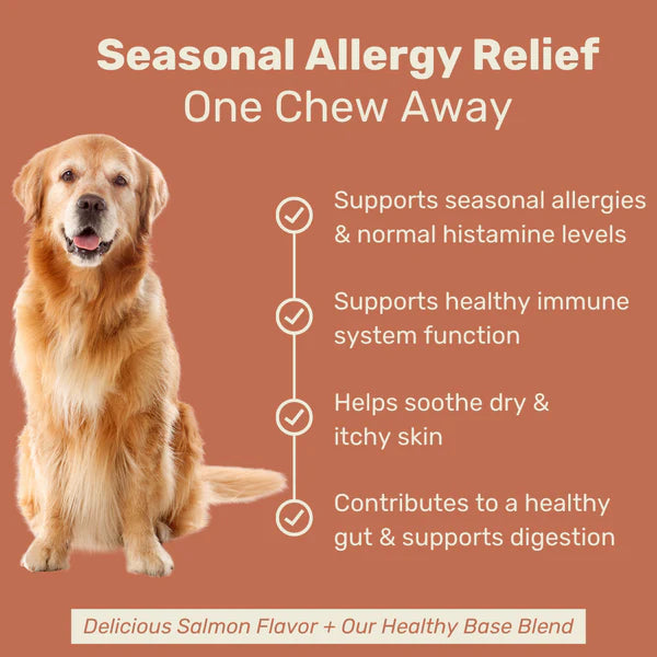 Symptoms My Dog Has Seasonal Allergies ALLERGY – Native Pet