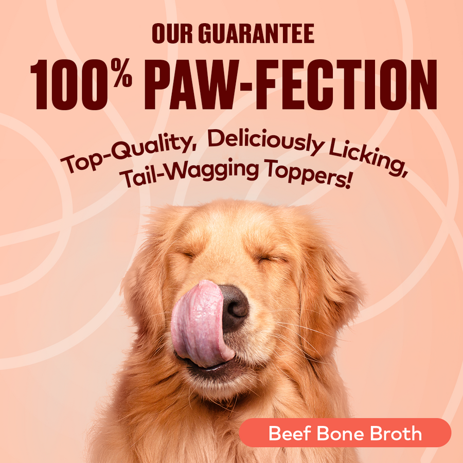 Bone Broth - Beef