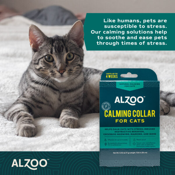 PLANT-BASED CALMING COLLAR FOR CATS & DOGS