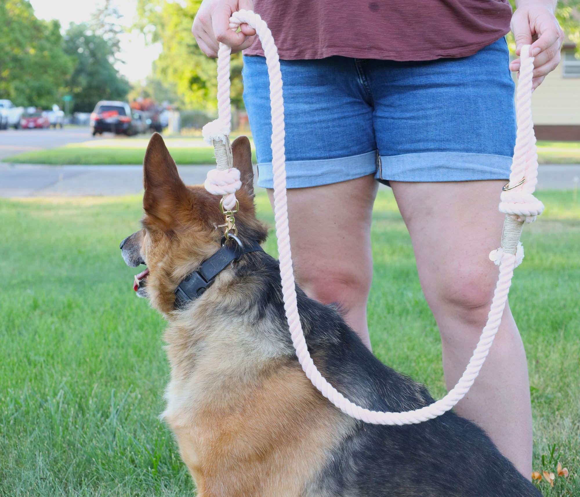 Cotton Rope Leash