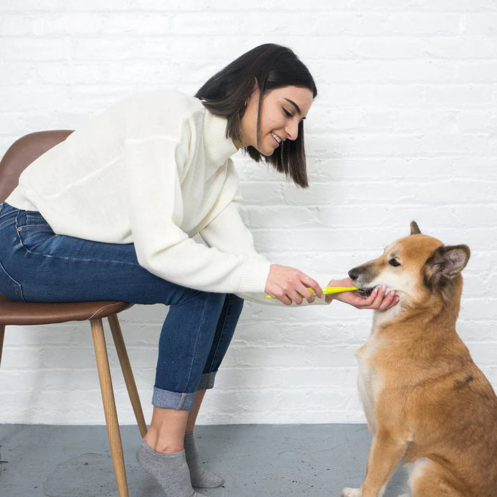 Standing top dog toothbrush