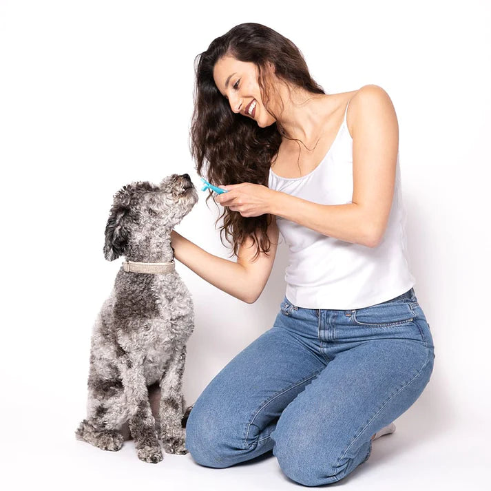 Petosan electric toothbrush hot sale