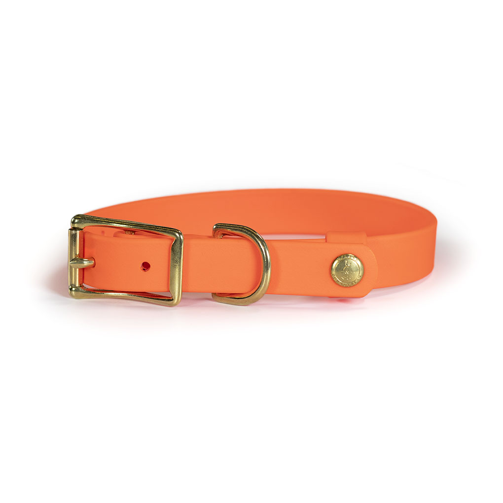 Upland & Downstream Owasco Biothane Collar