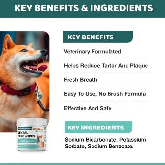 DENTAL CARE WIPES dental wipes for dogs and cats