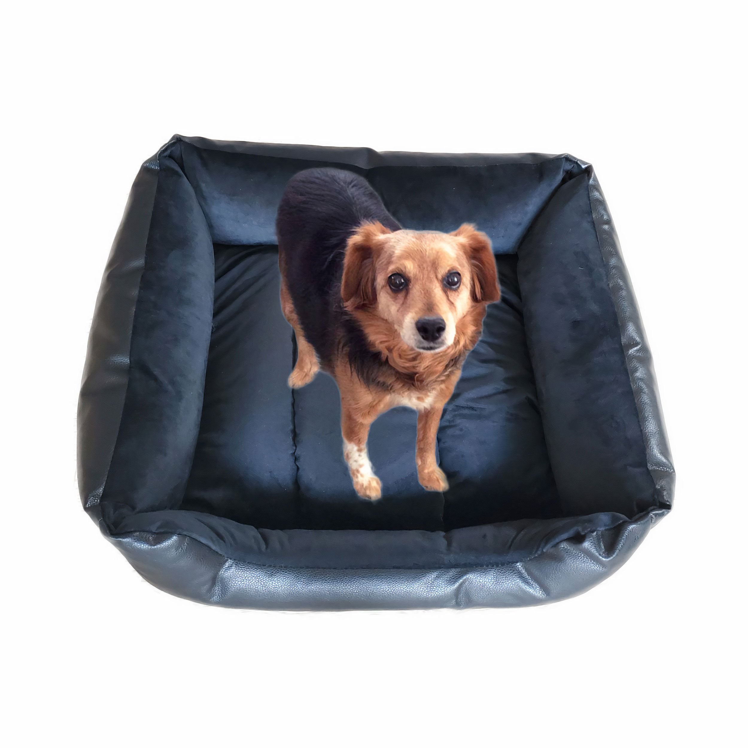 Pet world dog beds outlet